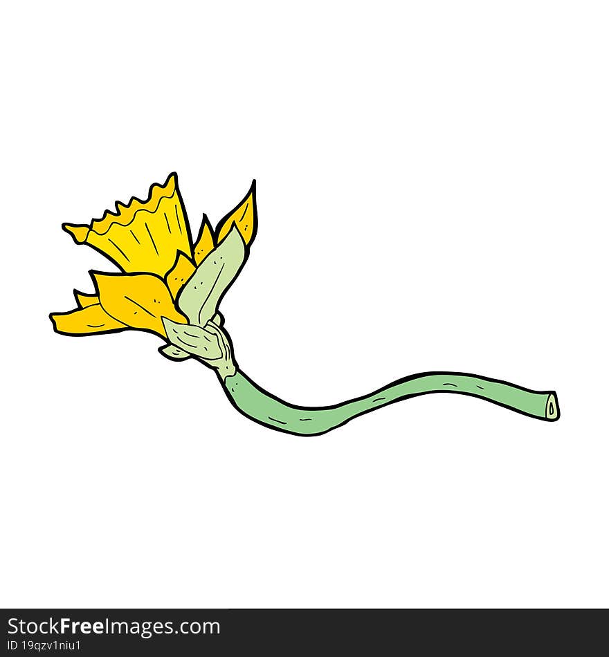 cartoon daffodil flower