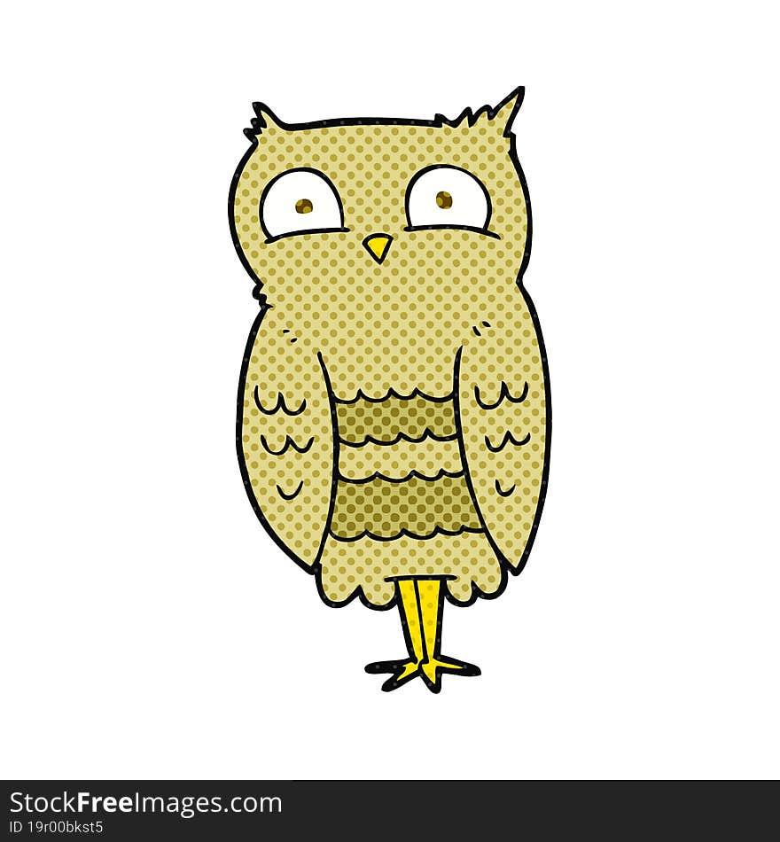 Cartoon Owl