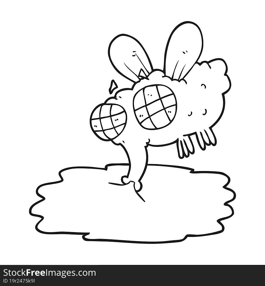 black and white cartoon gross fly