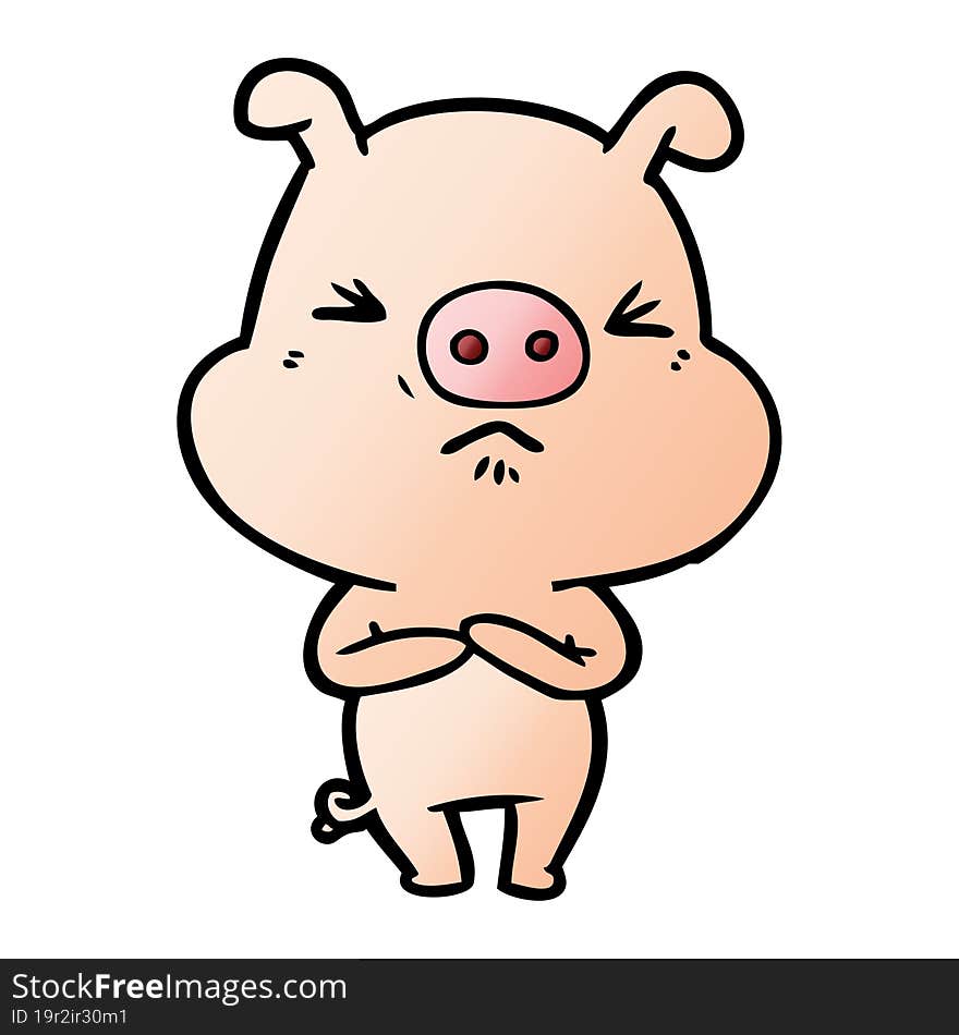 cartoon angry pig. cartoon angry pig