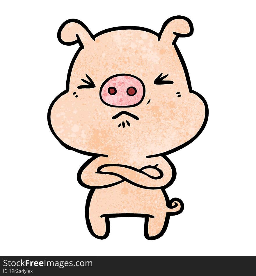 cartoon angry pig. cartoon angry pig