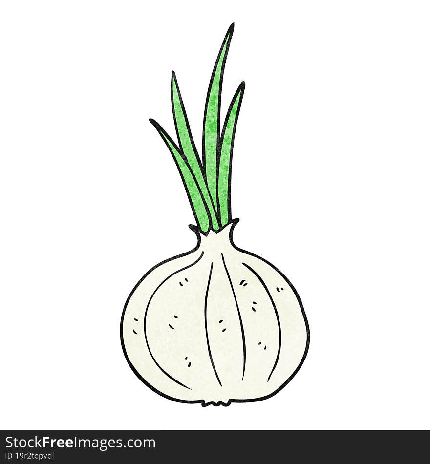 Textured Cartoon Onion