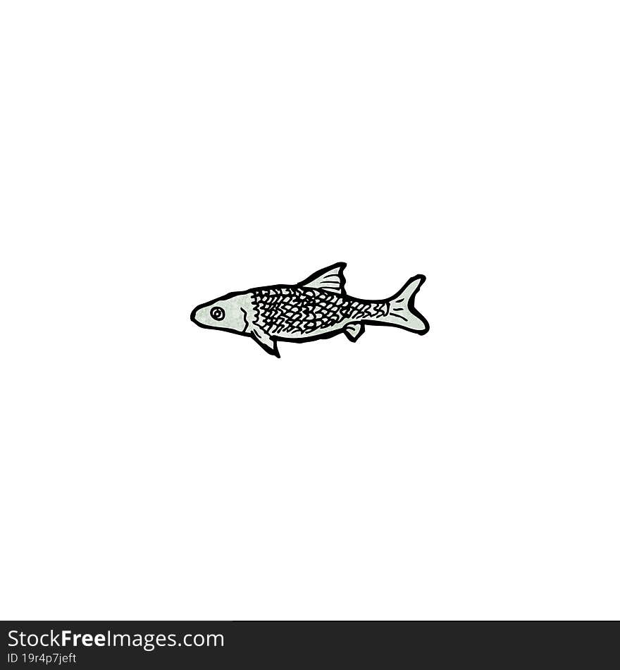 fish illustration