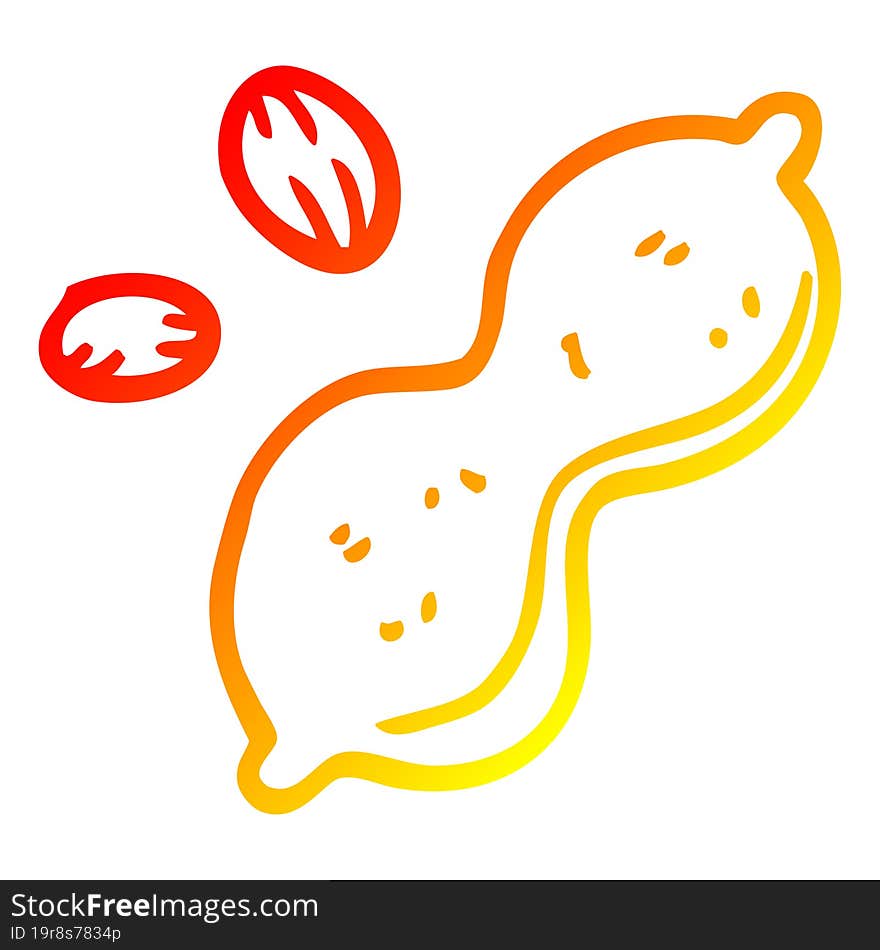 warm gradient line drawing cartoon peanut and shell