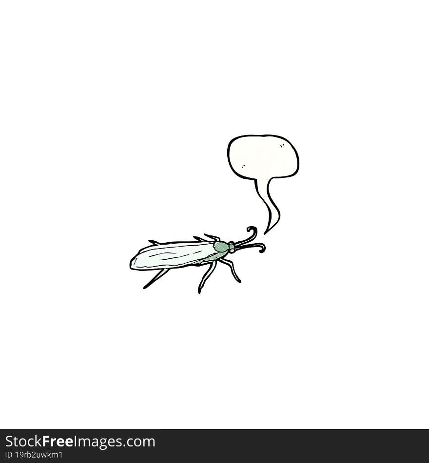 insect illustration