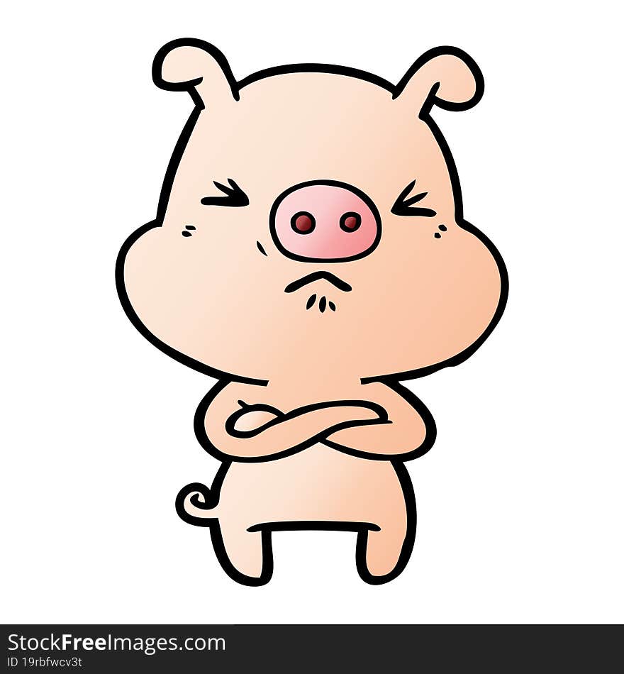 cartoon angry pig. cartoon angry pig