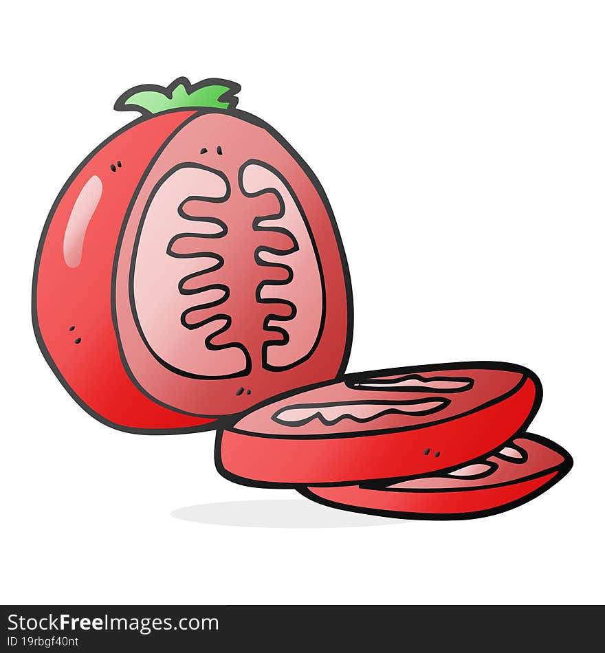 freehand drawn cartoon sliced tomato