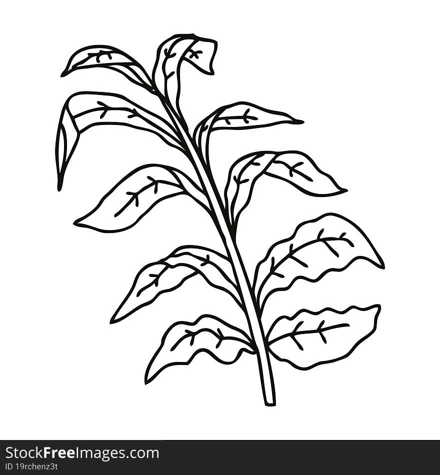 Quirky Line Drawing Cartoon Vine Leaves