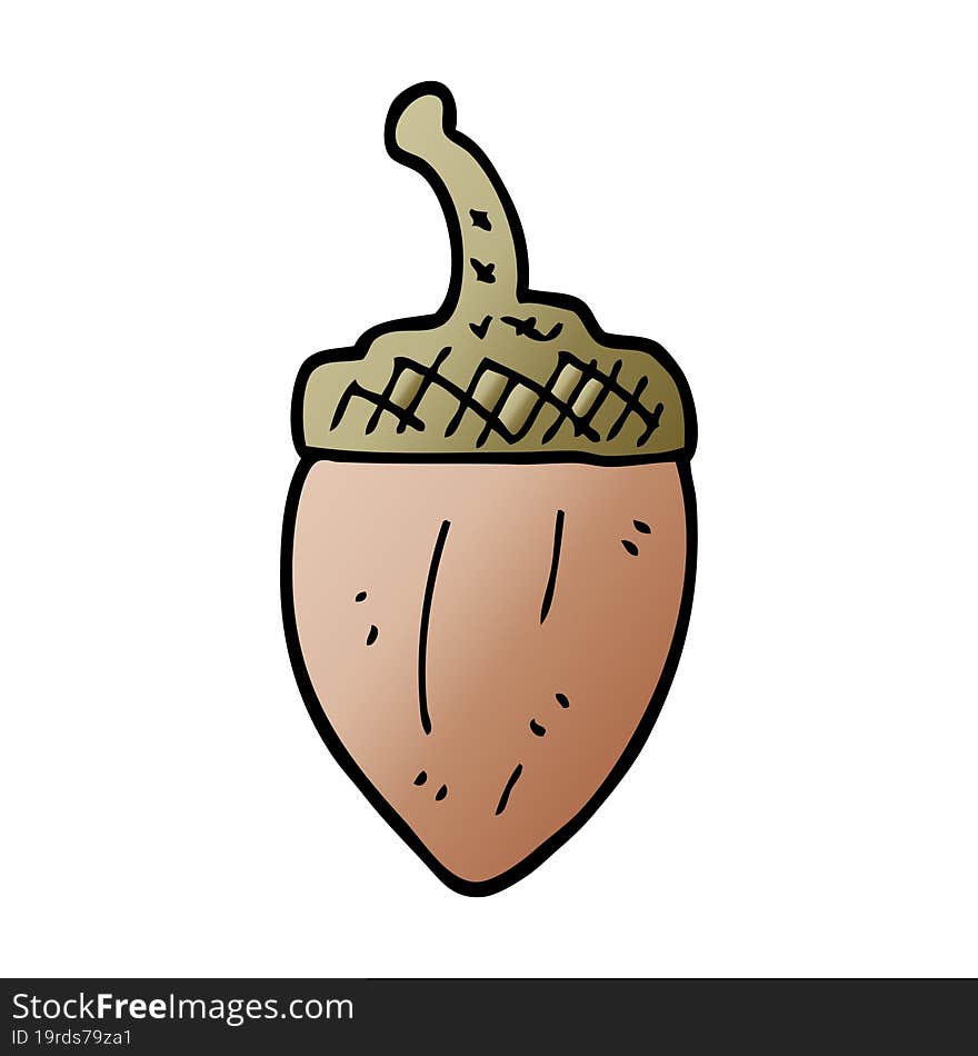 cartoon doodle acorn