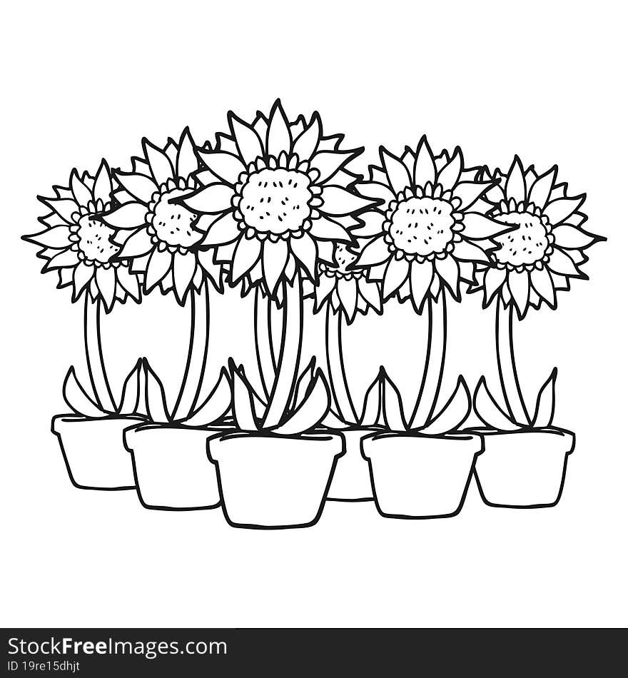 freehand drawn black and white cartoon sunflowers