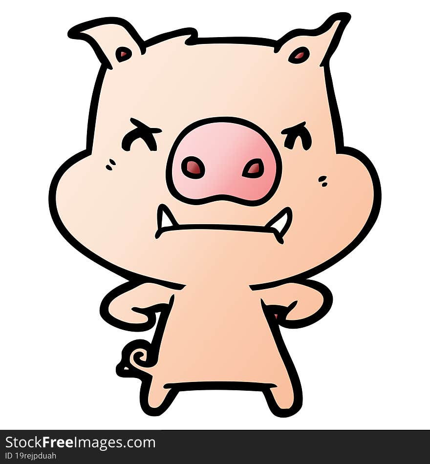 angry cartoon pig. angry cartoon pig