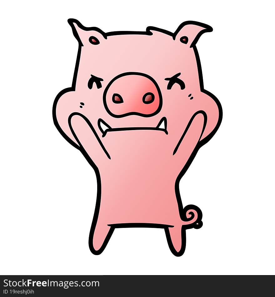 angry cartoon pig. angry cartoon pig