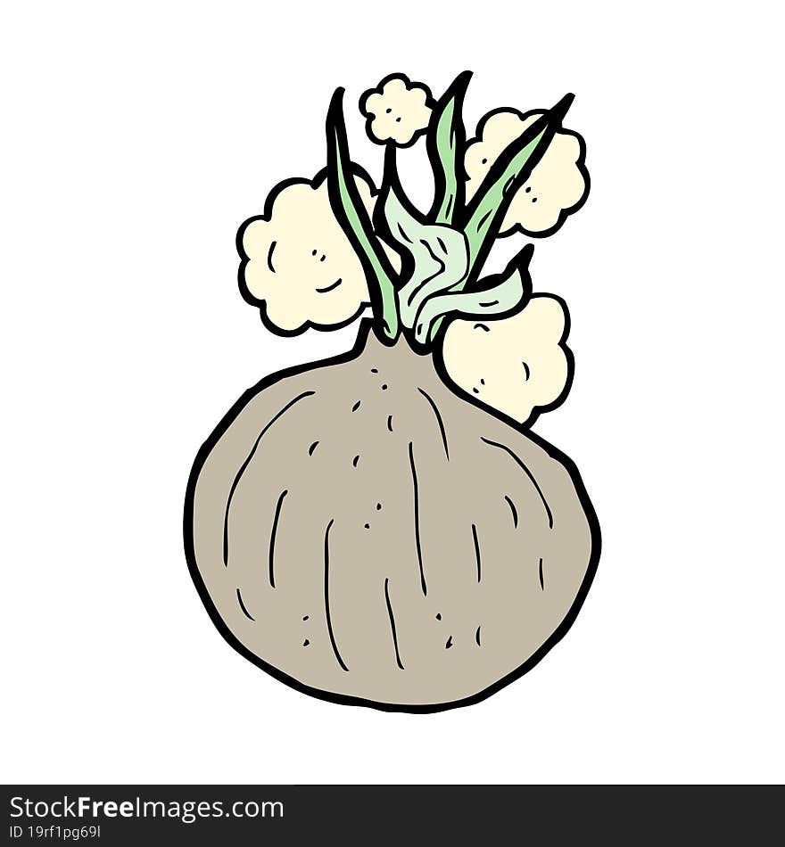 cartoon onion