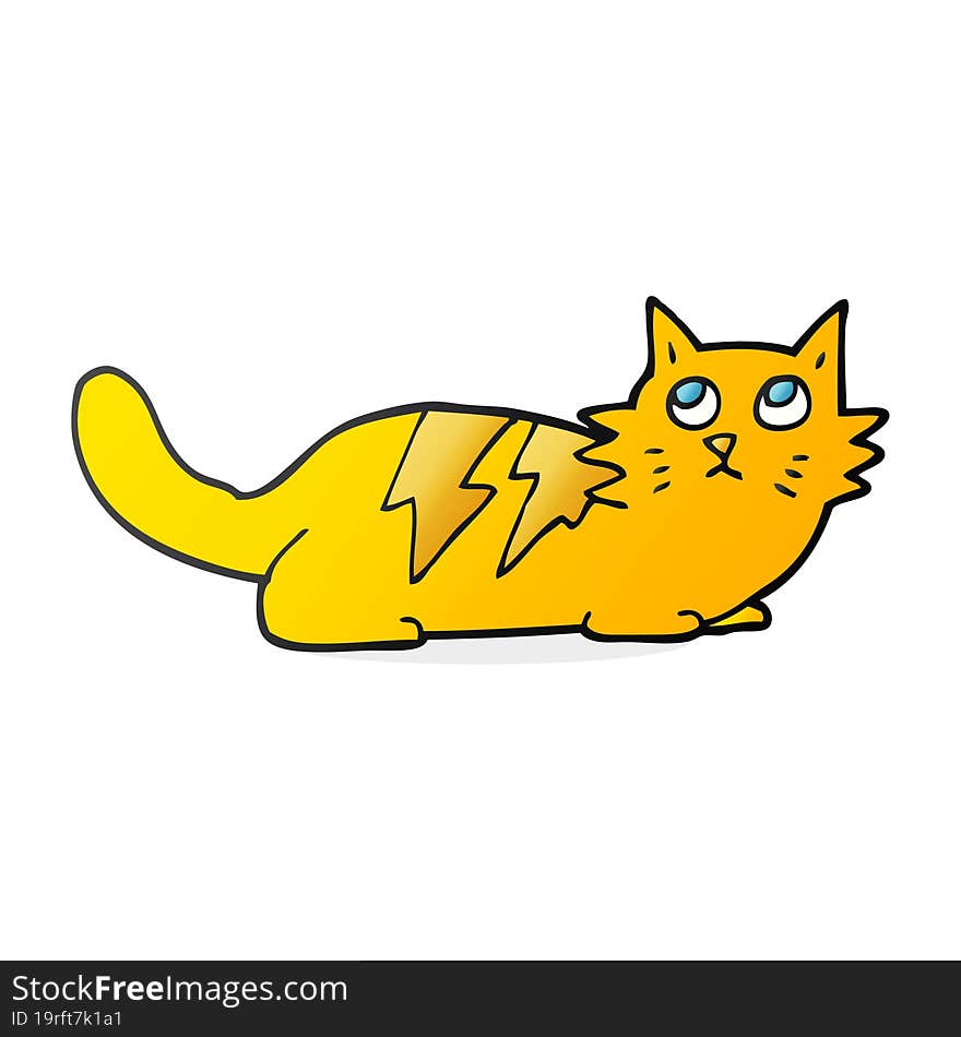 cartoon cat