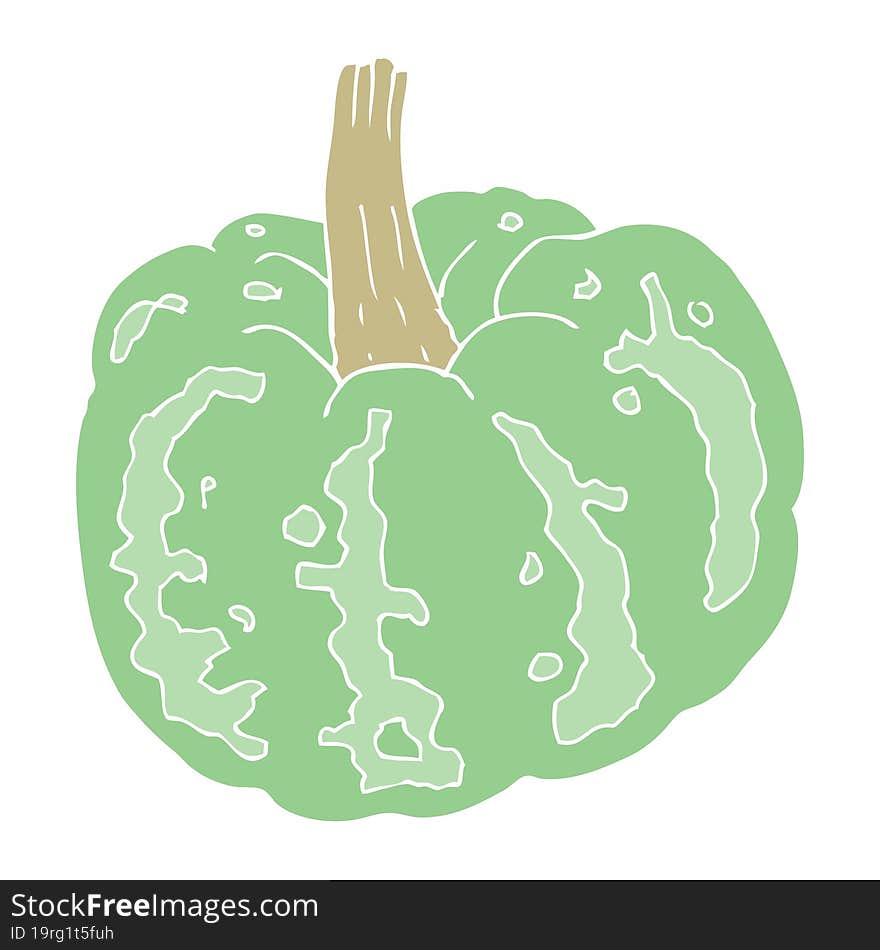 flat color illustration of squash. flat color illustration of squash