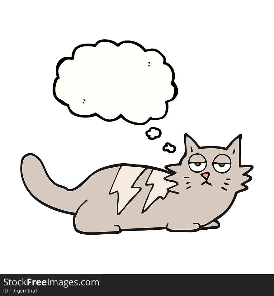 thought bubble cartoon cat