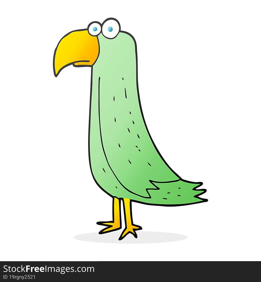 Cartoon Parrot