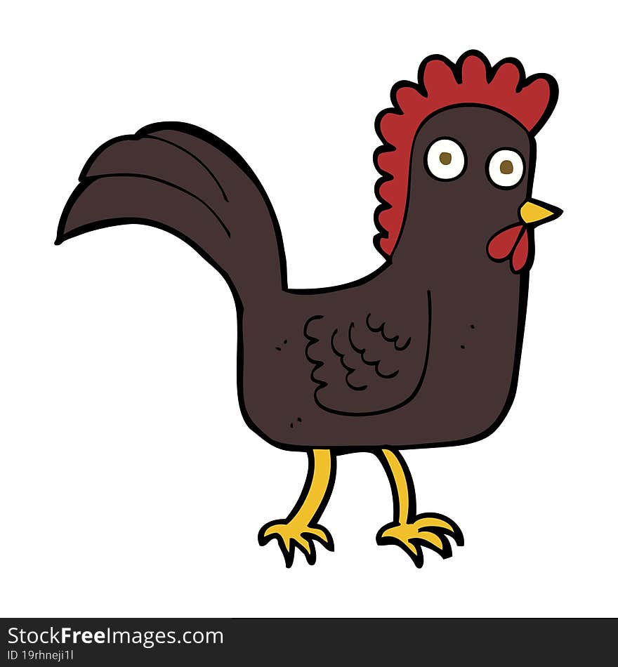 Cartoon Chicken