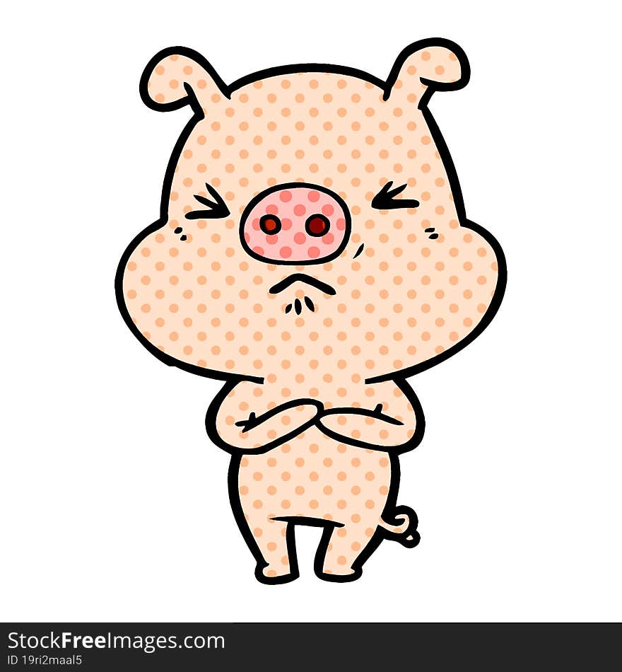 cartoon angry pig. cartoon angry pig