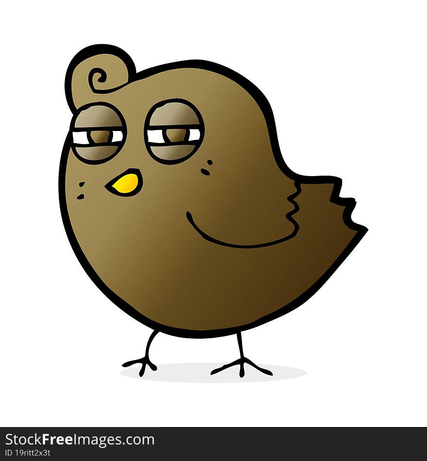 Funny Cartoon Bird