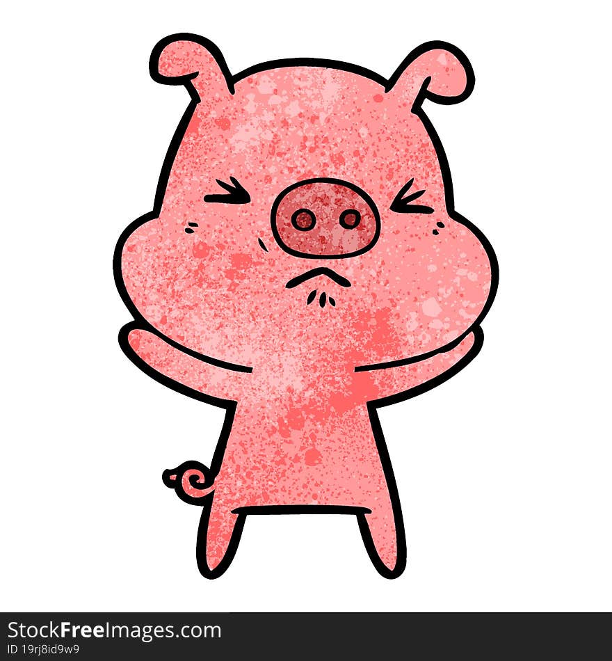 cartoon angry pig. cartoon angry pig