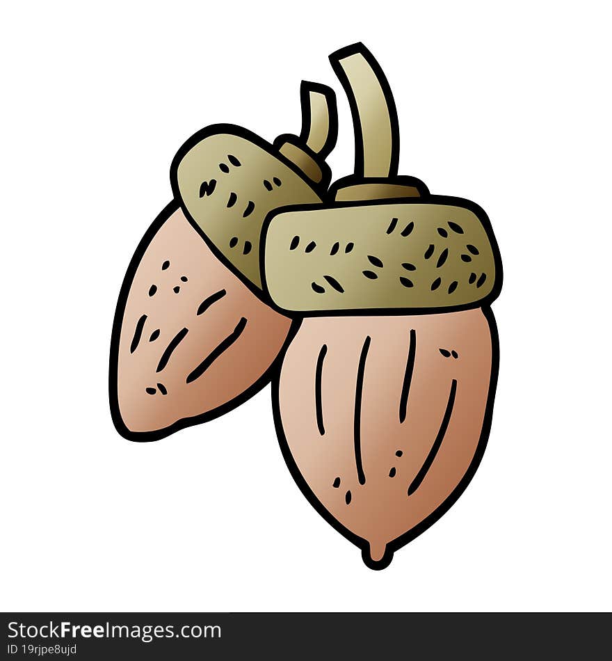 cartoon doodle acorn