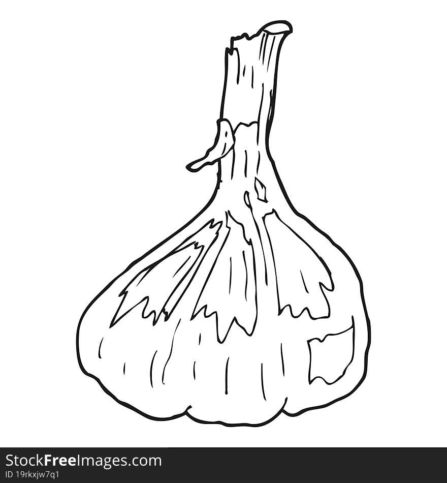 freehand drawn black and white cartoon garlic