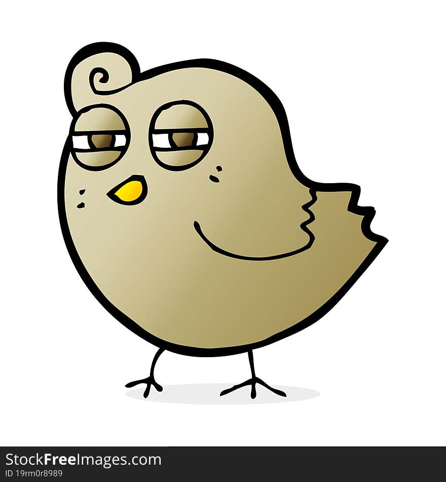 funny cartoon bird