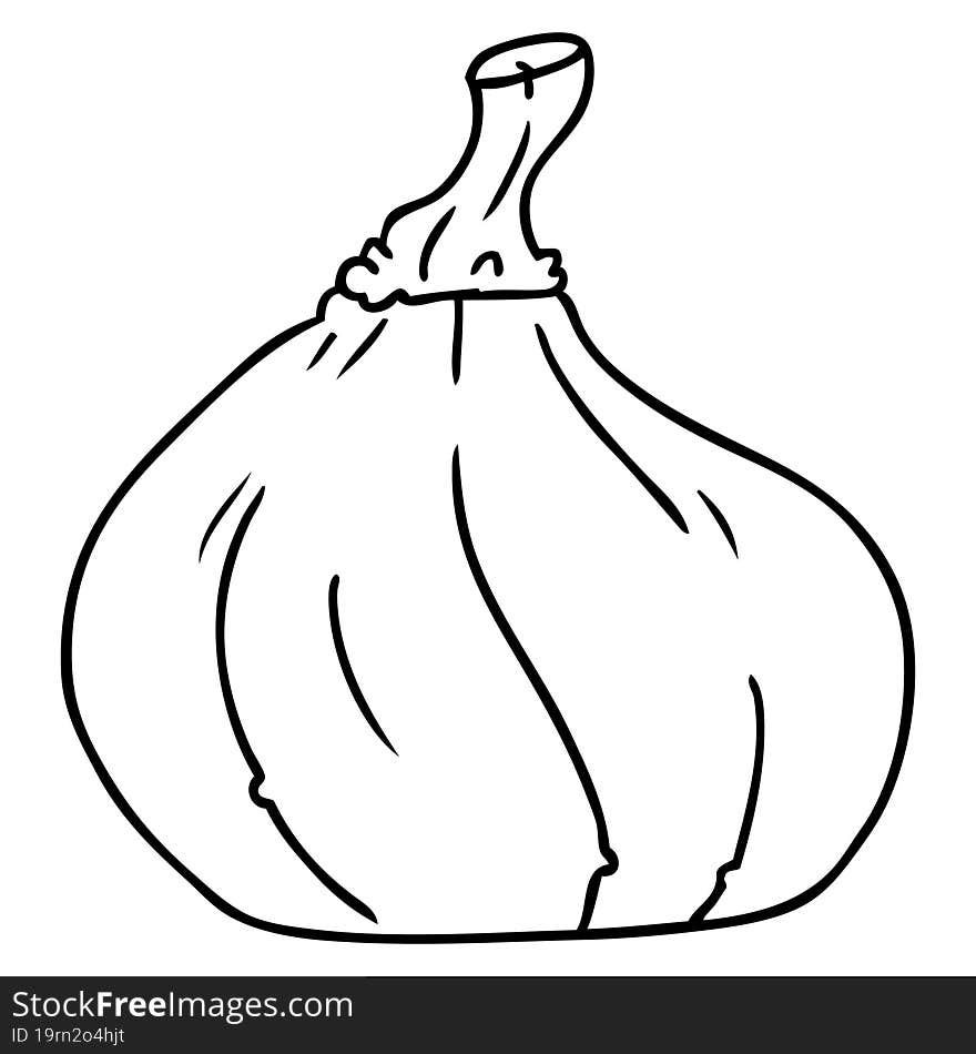 hand drawn line drawing doodle of a squash