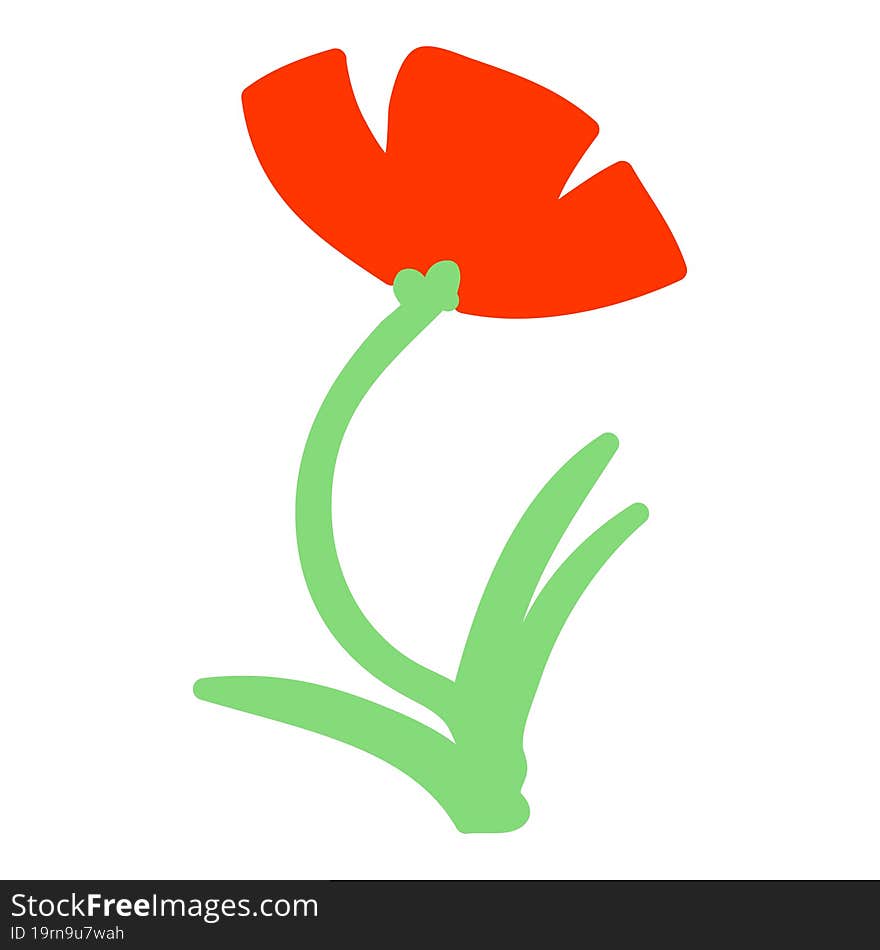 single poppy in flower