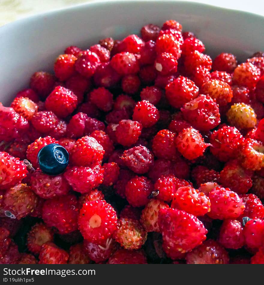 Wild strawberries and blueberries in a plate.