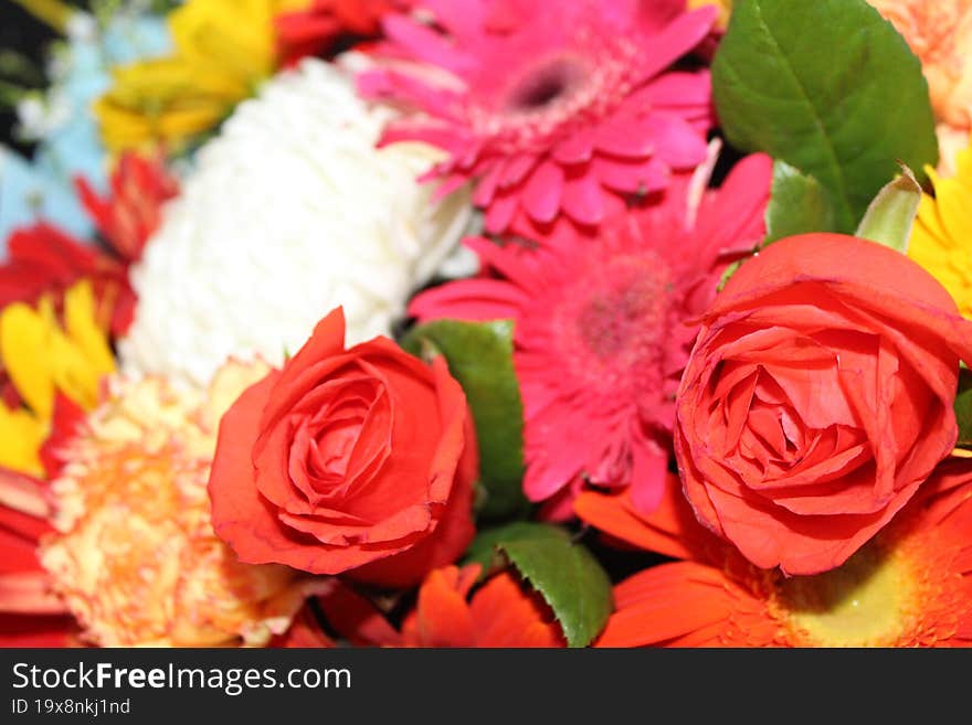 a bunch of colorful flowers