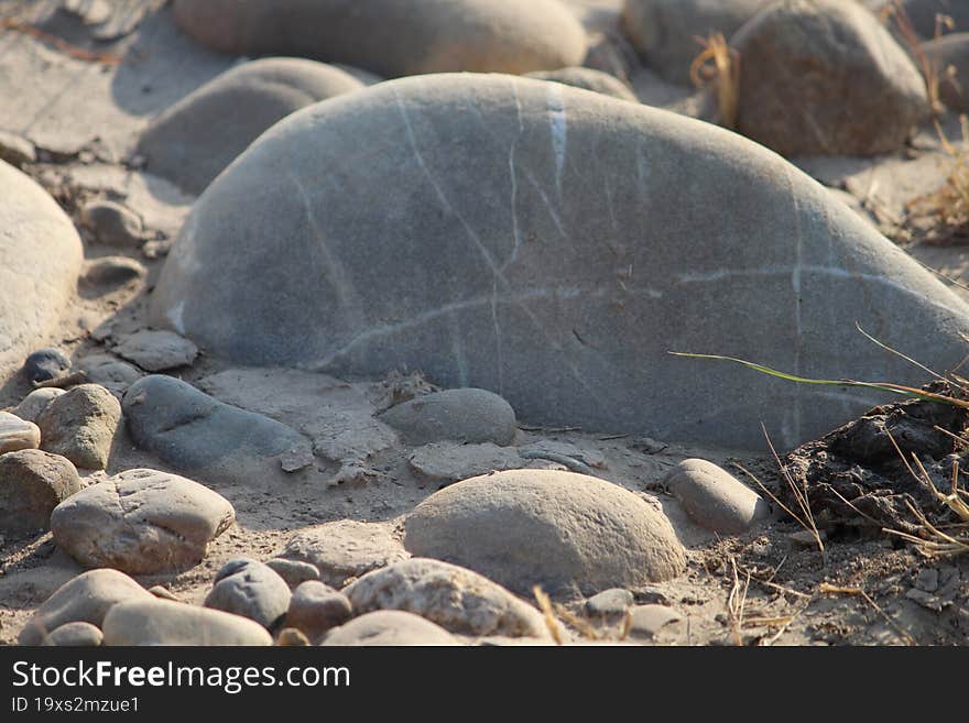 stones with textures by a wetland