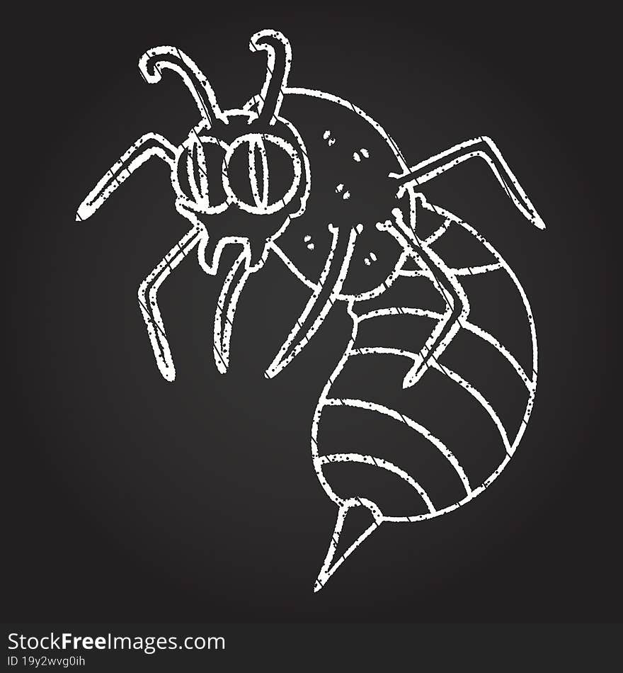 Wasp Chalk Drawing