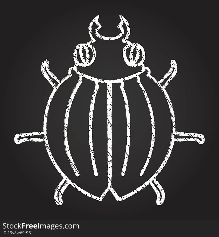 Bug Chalk Drawing