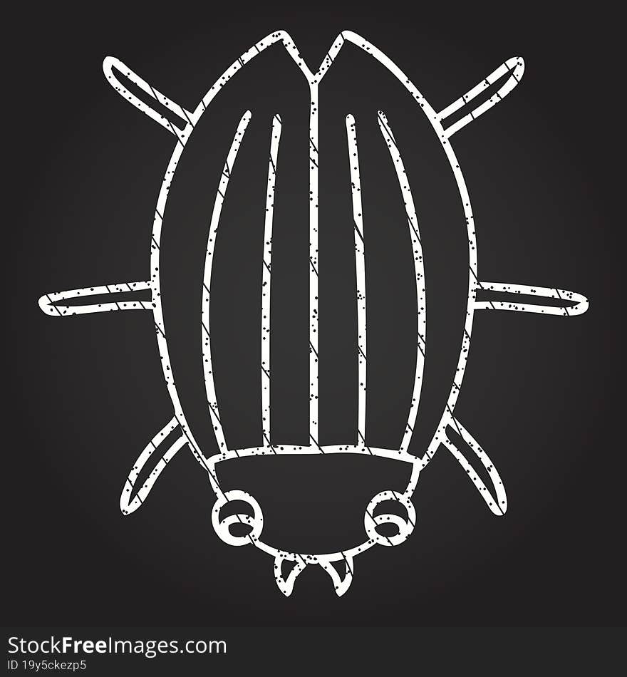 Beetle Chalk Drawing