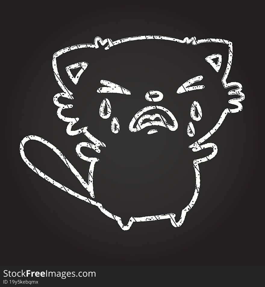 Crying Cat Chalk Drawing