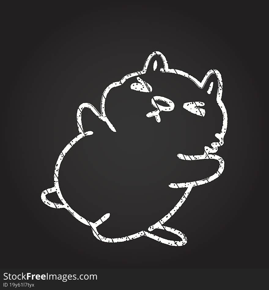 Cat Chalk Drawing