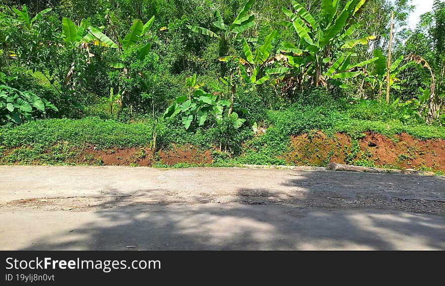 Road In The Countryside Realistic Photo