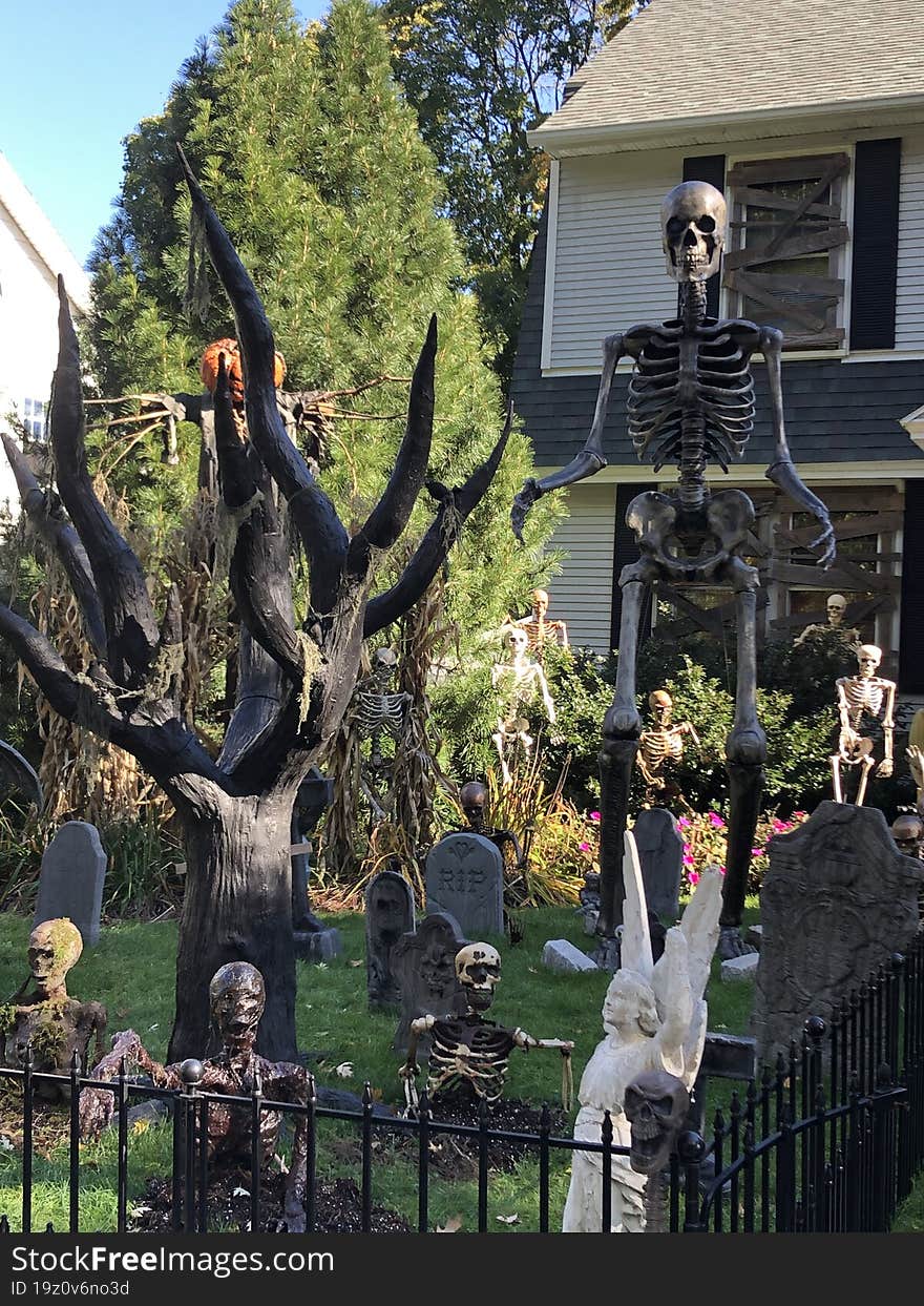 Halloween decorations of a gargoyle like statue on a tombstone with the hole dug for the burial casket.. the hole is empty.. ghosts, goblins, skeletons beware 
spooky, creepy, scary Halloween
spiders all over fenced in cemetery
giant 12` skeleton. Halloween decorations of a gargoyle like statue on a tombstone with the hole dug for the burial casket.. the hole is empty.. ghosts, goblins, skeletons beware 
spooky, creepy, scary Halloween
spiders all over fenced in cemetery
giant 12` skeleton