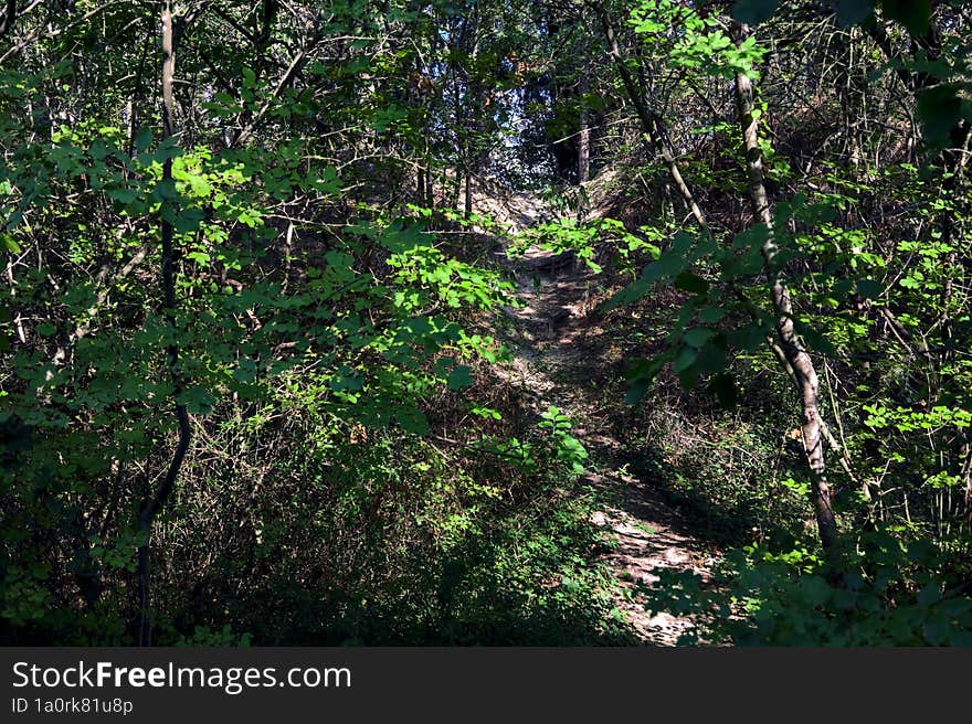 Dirt Path On An Embankment