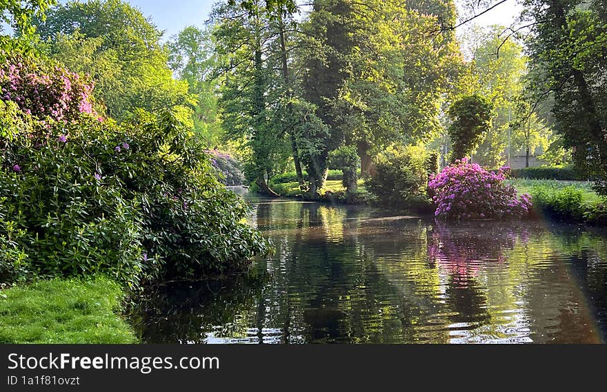 Oldenburg, early in the morning in the castle garden. A pond with reflections and sunbeams through the trees