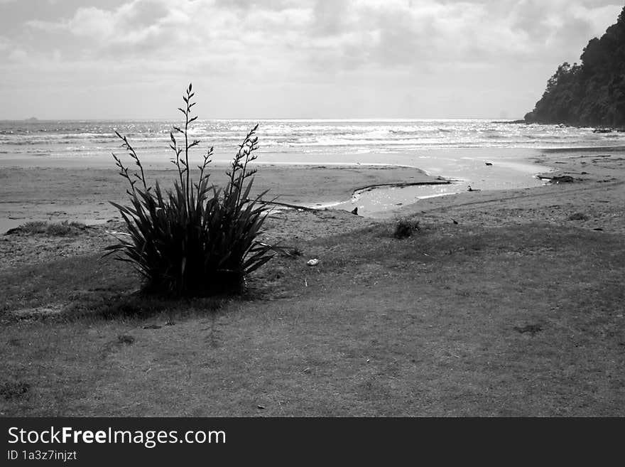 black and white beach estry