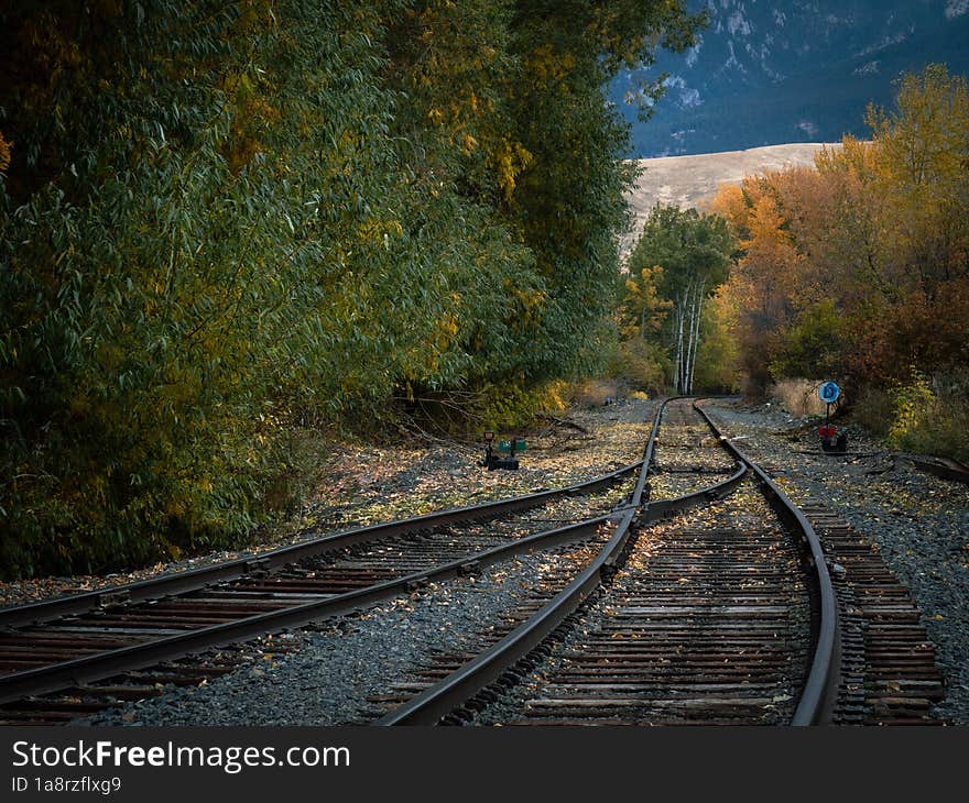 A stretch of railroad tracks, surrounded by fall foliage