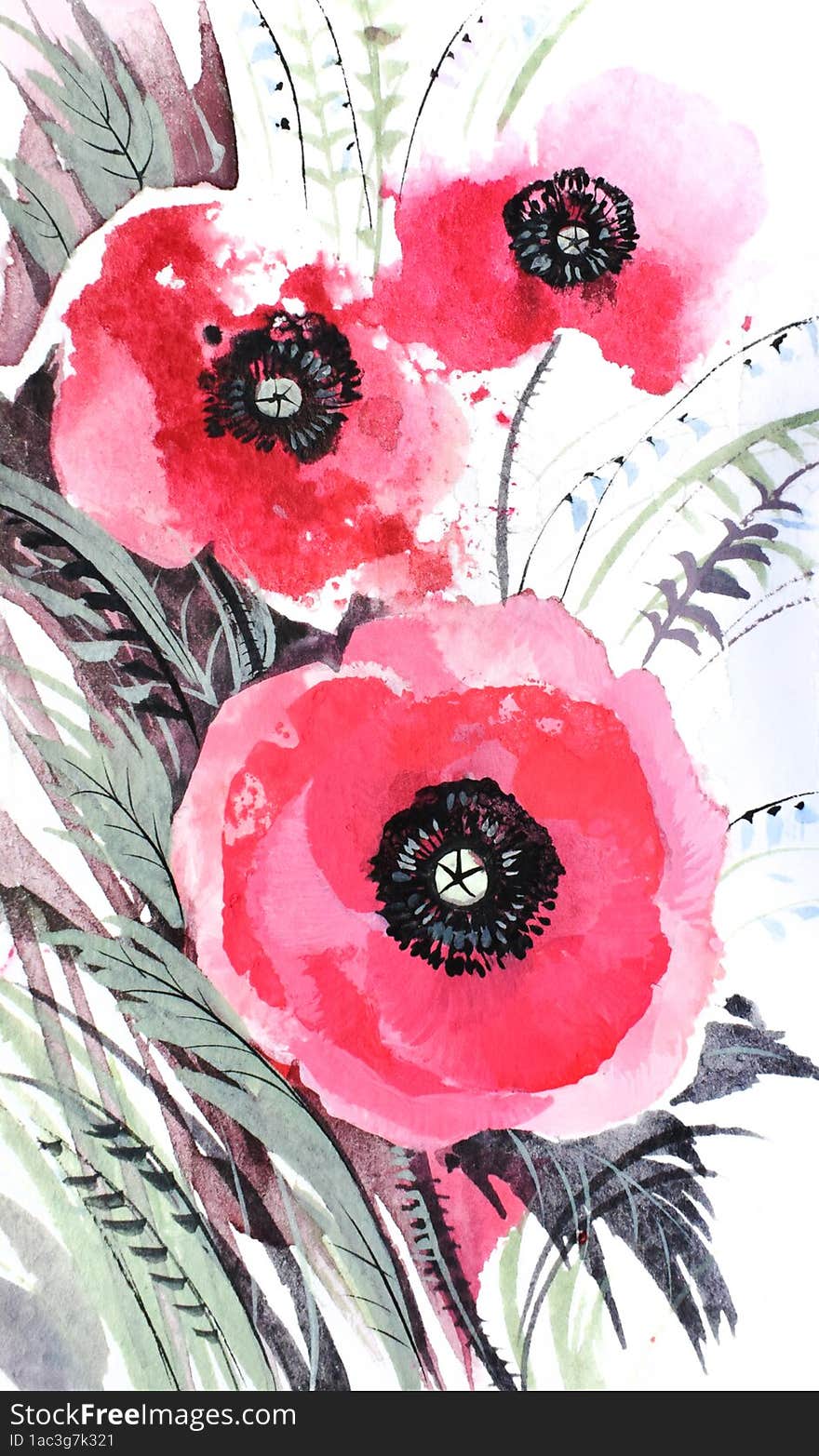 Poppies among the grass. Hand-drawn illustration. Watercolor, gouache.