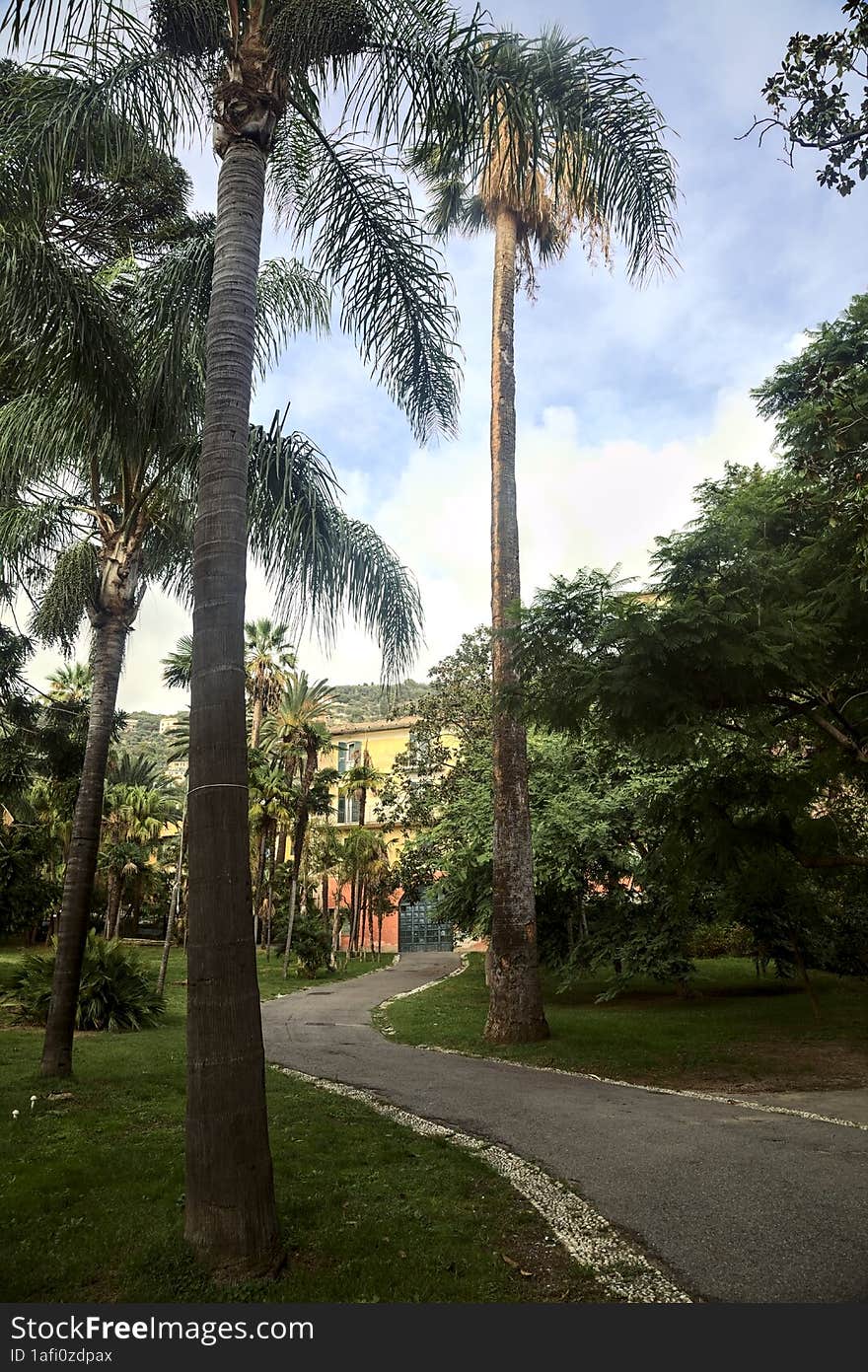 Old mansion in an open space of a park framed by trees and a path on a sunny day