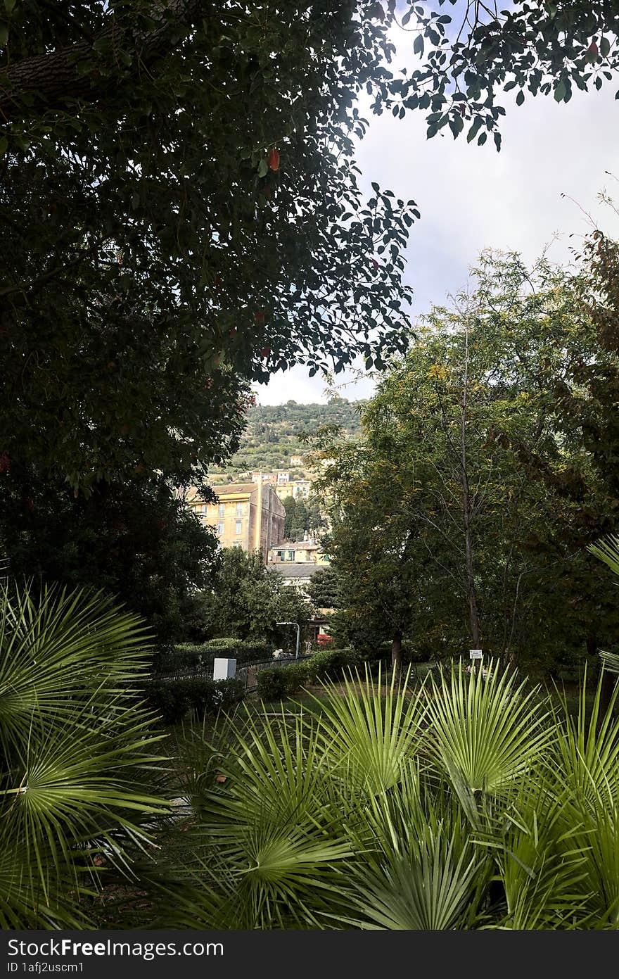 Buildings on a cliff framed by palms and trees of a park