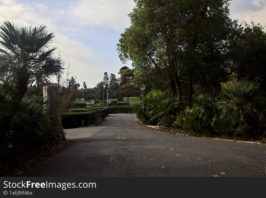 Path with a small bridge at the end of in a park on a cloudy day