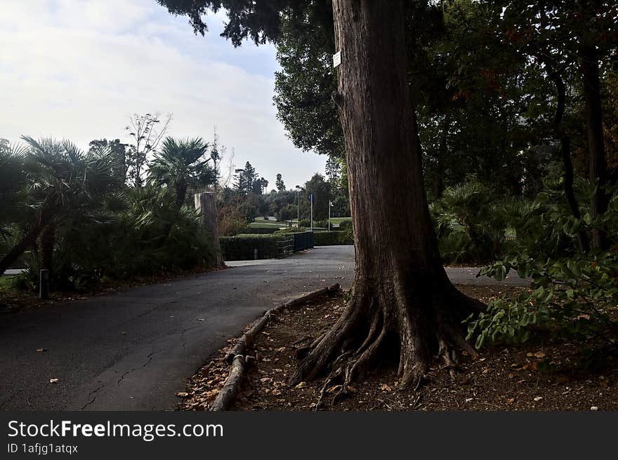 Path with a small bridge at the end of in a park on a cloudy day