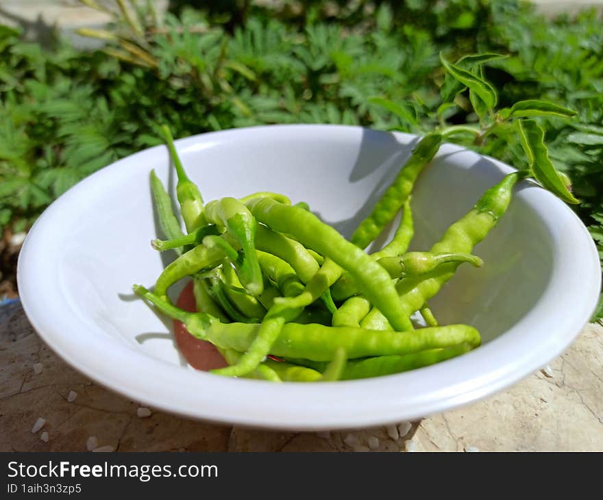 green chili in bowl,herb